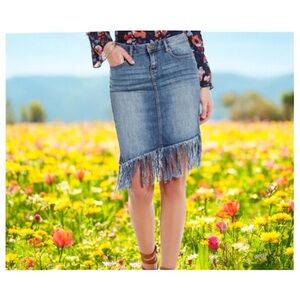 William Rast Founded By Justin Timberlake Trace Ayala Sz 27 Fringed Denim Skirt
